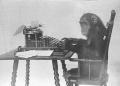 Monkey-typing.jpg